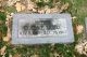 Headstone, Clara Hucke, Kansas City Headstone, Clara Hucke, Kansas City